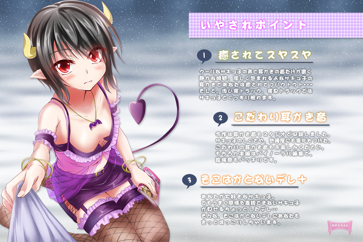 おすすめポイント