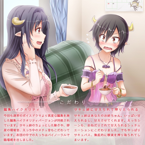 おすすめポイント